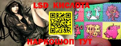 кокаин Гатчина