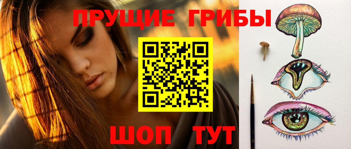Казань  Галлюциногенные грибы мухоморы  Вход с VPN  Галлюциногенные грибы Psilocybe 